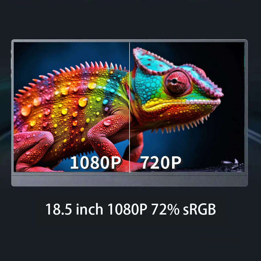 DLN  Portable Monitor 18.5 inch 1080P 100Hz with VESA Hole and New Back Bracket Laptop Extended Display ADS-IPS HDR Screen