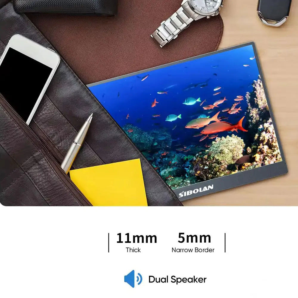 DLN  Portable Monitor 18.5 inch 1080P 100Hz with VESA Hole and New Back Bracket Laptop Extended Display ADS-IPS HDR Screen